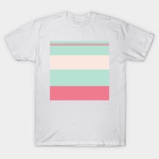 A gentle variation of Pale Chestnut, Powder Blue, Misty Rose and Carnation stripes. T-Shirt